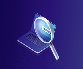 Modern Search in Umbraco