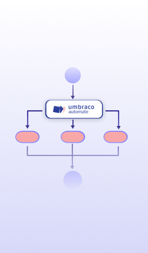 Unlock the Power of Umbraco Automate